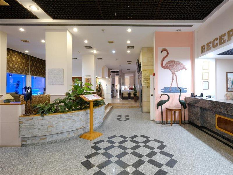 ฟลามิงโก้ บีช โฮเต็ล Hotel ลาร์นาคา ภายนอก รูปภาพ